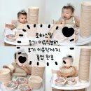 11개월 아기 로하스밀 이유식으로 중기 이유식부터, 후기이유식까지 졸업 완료