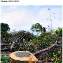 밀당 당구장 | [목공방꿈] 버니셔 사용후기