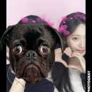 성수치과의원 이미지