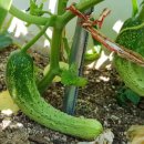 중리할머니경로당 이미지