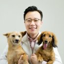 딜리동물병원 이미지