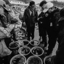 대진항(어판장) 이미지