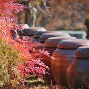 뒤웅박고을 이미지