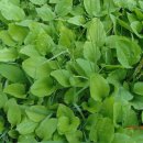 군포-산본-2015 이미지