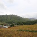 샘양지 마을 이미지