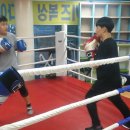 성남 복싱 체육관 이미지