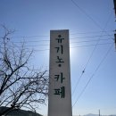 지내고탄로 | [춘천 두쫀쿠 카페] 기다림 끝에 만난 '두바이 쫀득 쿠키', 유기농카페 예약 후기!