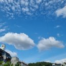 분지농장 이미지