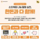 한돈 이미지
