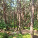 힐링랜드 이미지