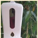 배다리칼국수 이미지