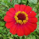 나불지공영주차장 이미지