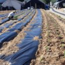 모현농장 이미지