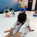 단국대 승리 태권도 네이버블로그