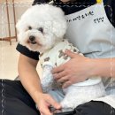 소중한아이들유치원 이미지