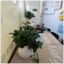 우리사랑재가센터 이미지