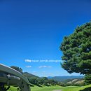 지산골프장 | ⛳️ 그린이 빠른 골프장 지산cc