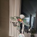 장난감척척수리센터 이미지