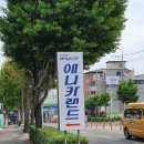 애니카랜드 갈마점(씨티피아) | 갈마동맛집추천 꾸브라꼬숯불두마리치킨 갈마점 강추