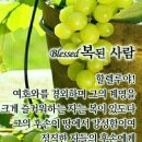미스트롯2라이벌.ㅡ 전유진.ㅡ 김은빈.ㅡ 김다현. 열전ㅡ 이미지