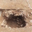 강진10호 이미지