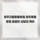 청주지웰동물병원 네이버블로그