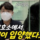 최근 교통사고 난 유기견 입양한 설채현 수의사 이미지