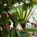 초이농장 이미지