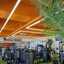 머슬비치짐 휘트니스 이미지