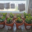 범물2동경로당 이미지