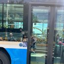 건지사거리 횡단보도 앞 이미지