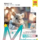 포토샵보다 쉬운 미리캔버스 이미지