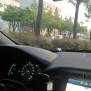 신호카포스 이미지