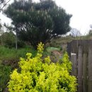 사철농장 이미지