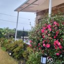 제주놀3320 이미지