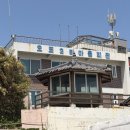 관항2리 마을회관 | 포항 해루질 명소 오도2리 마을회관 앞 바다 초3 7살 아이와 얕은 바다에서 군소 잡기