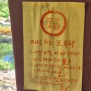 스테이 이브 | 전남 보성 혼자 여행 힐링하기 좋은 곳, 대원사 템플 스테이