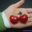 잃어버린 시간 이미지