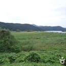 경안천 이미지