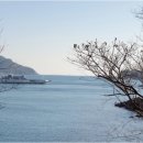 외산면 보건지소 공중화장실 | 🌊 여수의 숨은 보석, 화태도로 떠나는 아름다운 섬 여행 🏝️