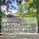 천년숲서로(동) | 순천 선암사 전남 여행 가볼만한곳 조계산 걷기 좋은 숲길 천년고찰