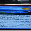 호수와 소나무 이미지