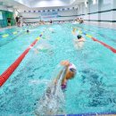 실내수영장 이미지