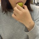 한설식품 | 크림찹쌀떡 : 간식으로 딱 좋은 한설당 녹차 크림치즈찹쌀떡 후기