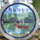 카누타고 마곡마을에서 배바위까지 수상레저 체험후기(ft.홍천강 배바위카누마을)