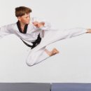 스타일 태권도장 이미지