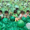 아기둥지어린이집 이미지