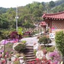 지리골길 Daum카페