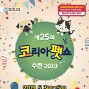 수원-2019 이미지