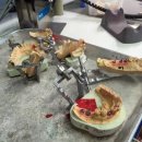 행복치과기공소 이미지